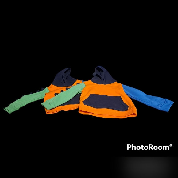 Lot of 2 Toddler Dinosaur Hoodies. Size 18M and 2T perfect for twins - Picture 1 of 1